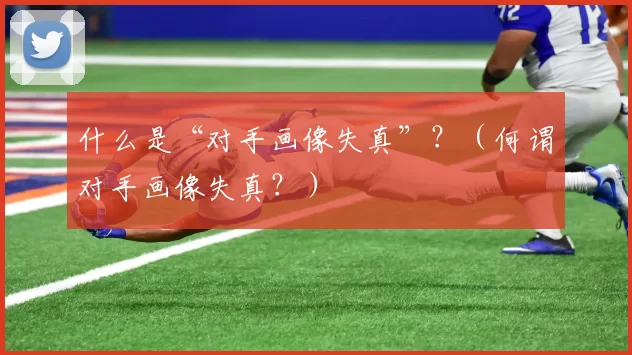 什么是“对手画像失真”？（何谓对手画像失真？）