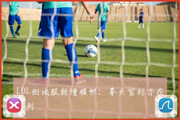 LOL测试服新增旗帜：拳头官标亦在其列
