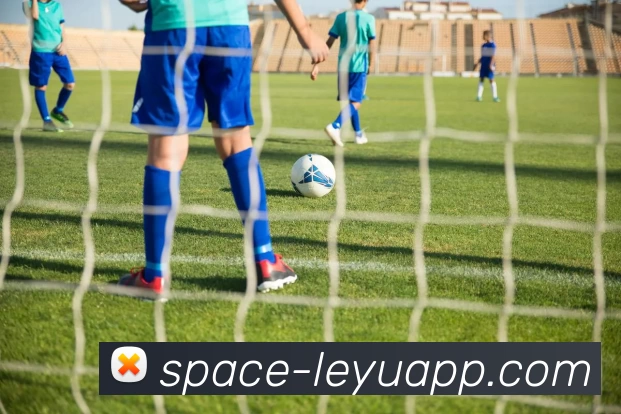 App Interface Preview